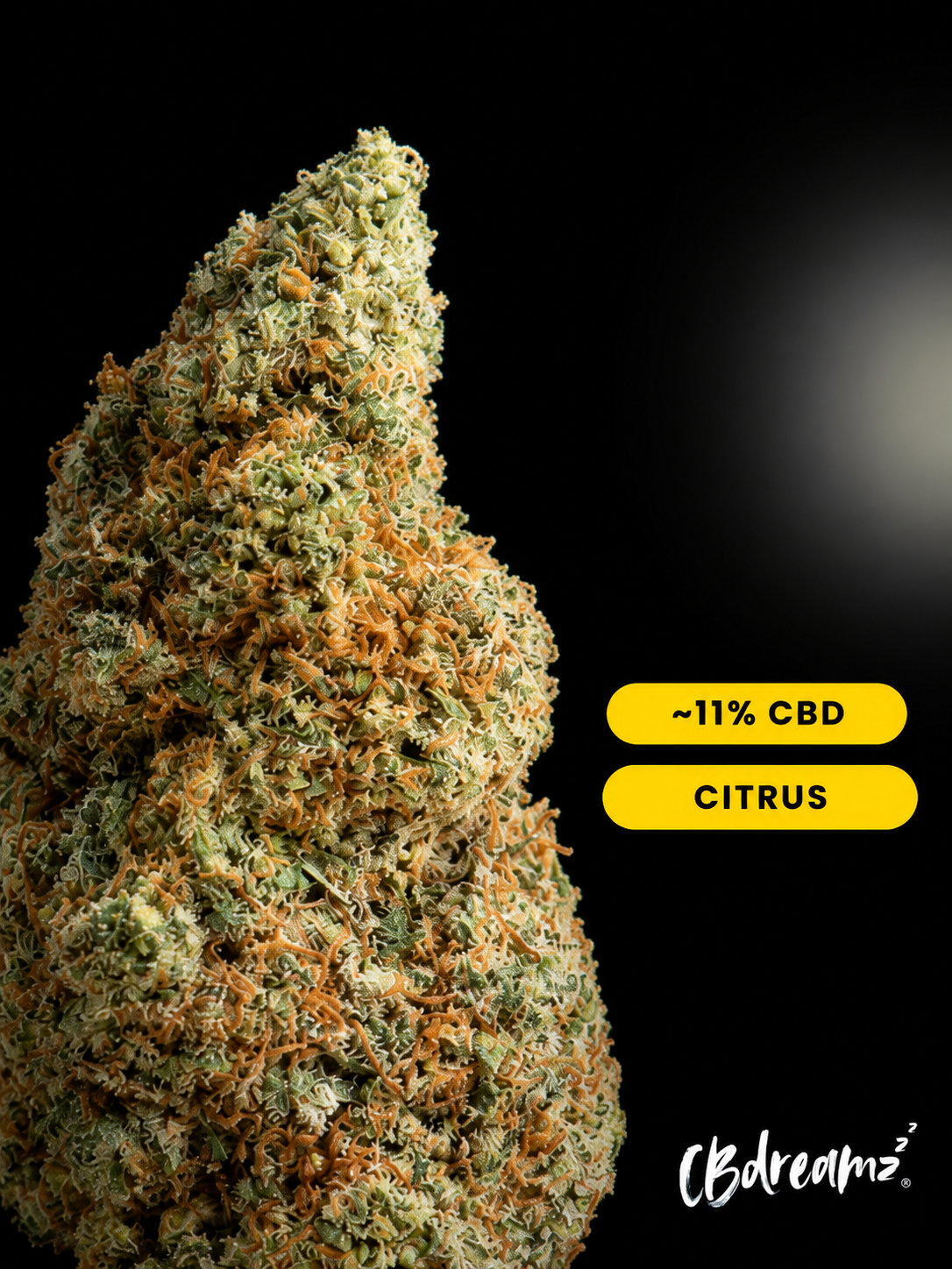 Nahaufnahme Super Lemon Haze CBD